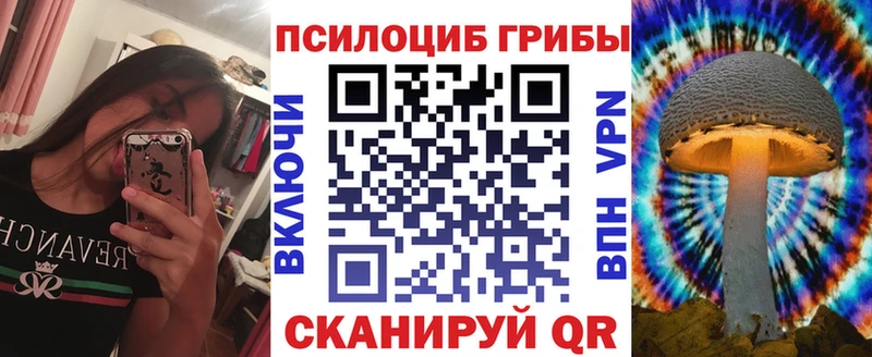 Галлюциногенные грибы прущие грибы  Цимлянск 